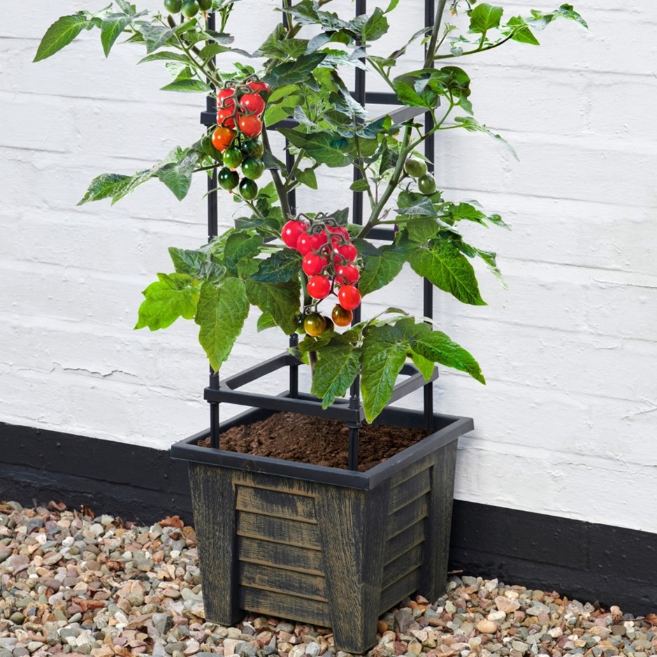 4 Tier Trellis Tomato Planter