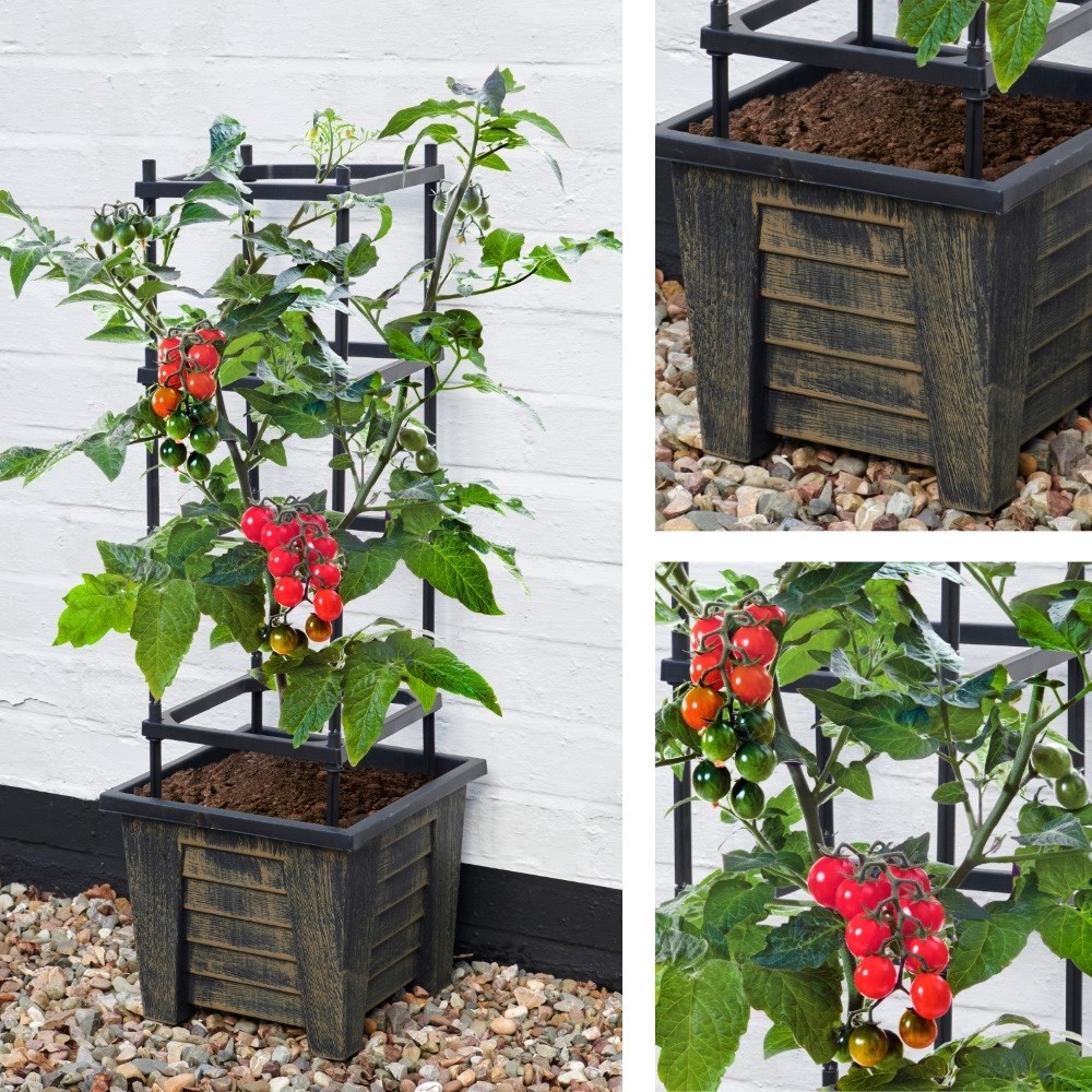 4 Tier Trellis Tomato Planter