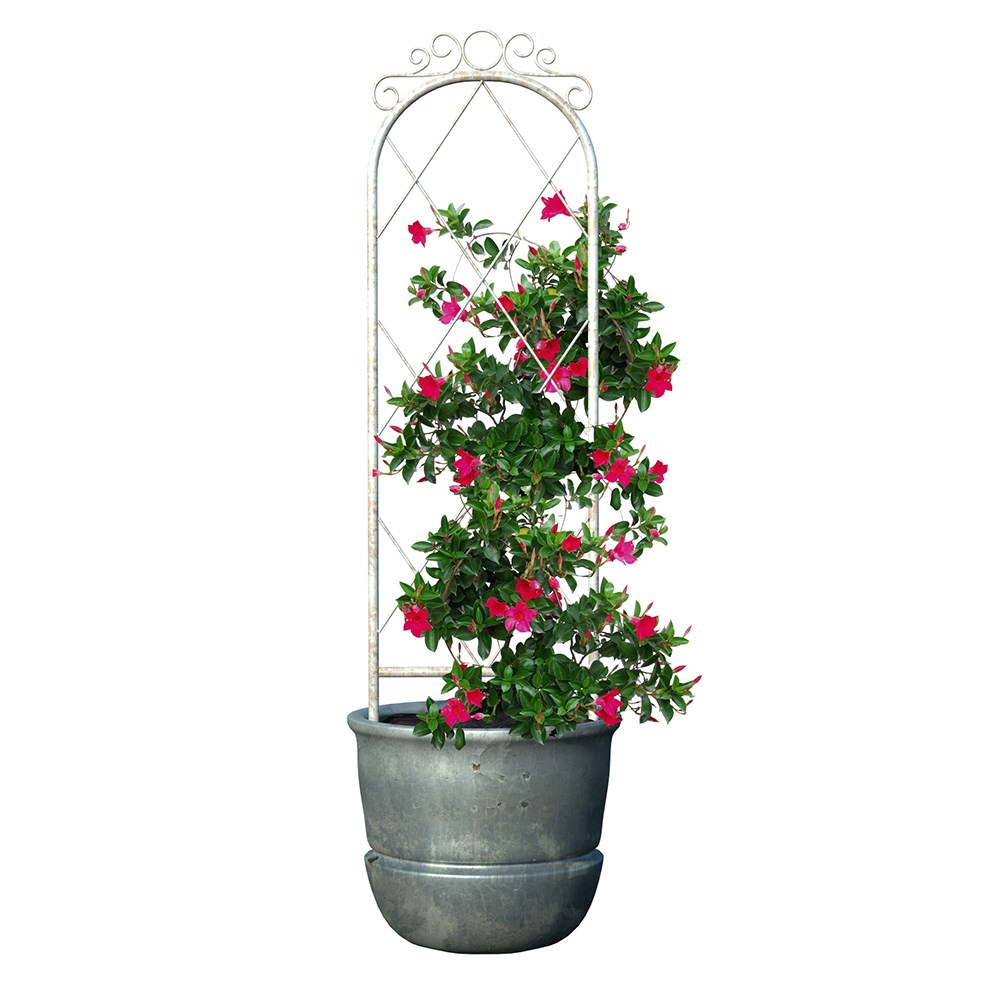 French Country Scroll Pot Trellis