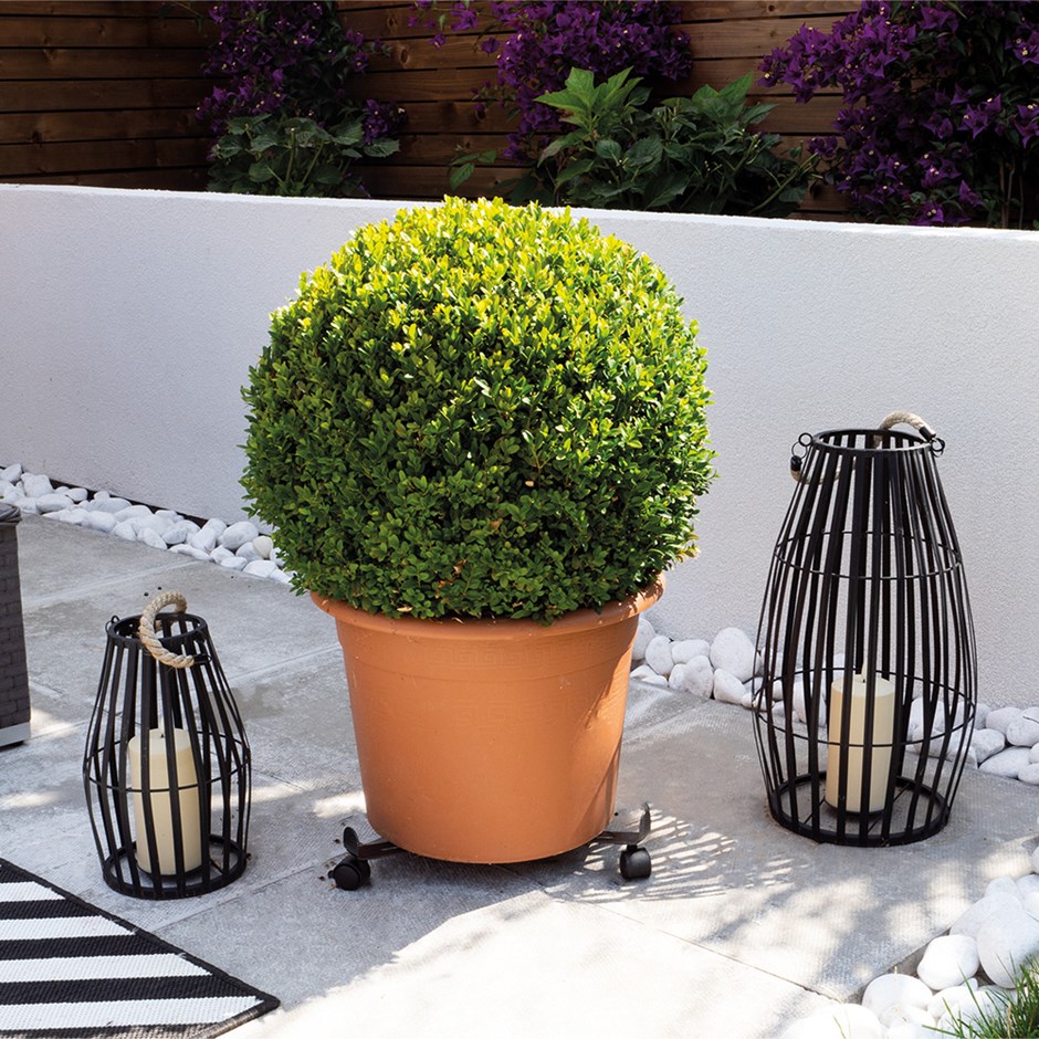 St Helens Home and Garden Adjustable Width Flower Pot Mover