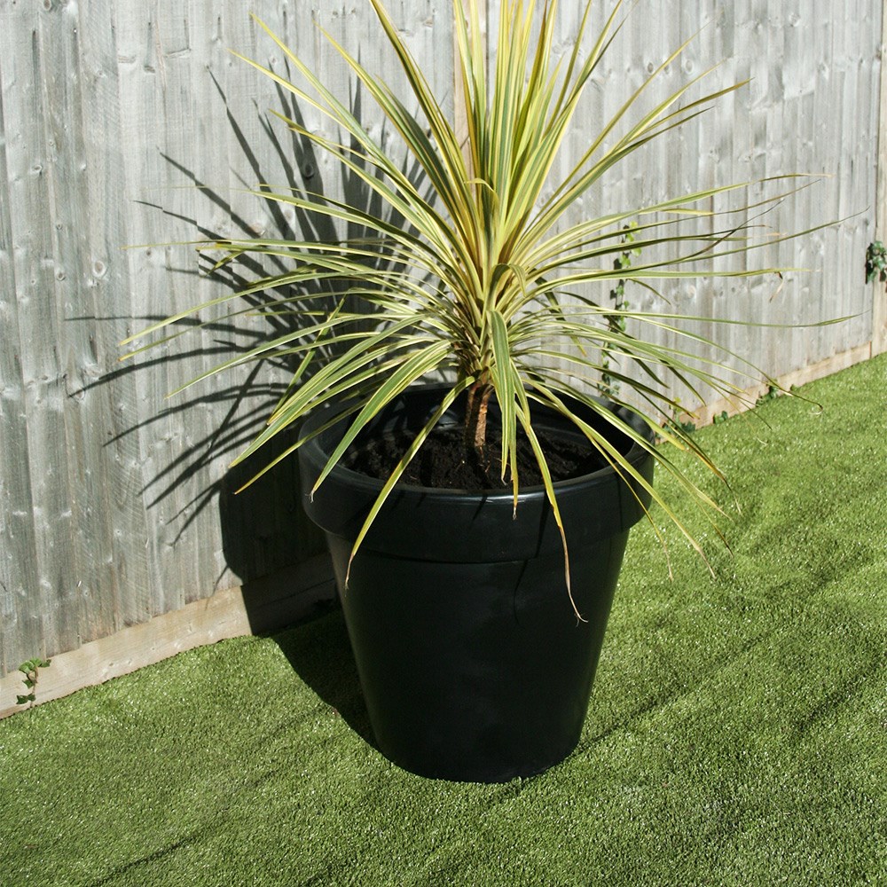 Classic Tree Planter
