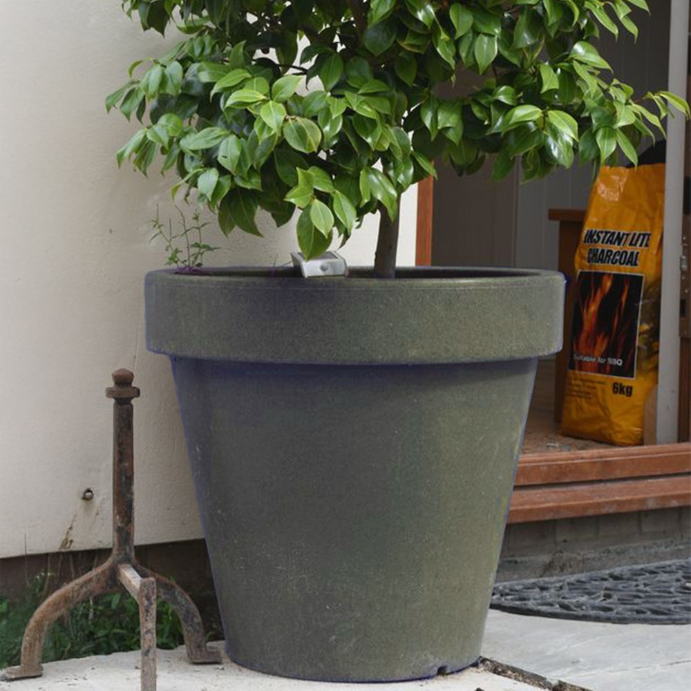 Classic Tree Planter