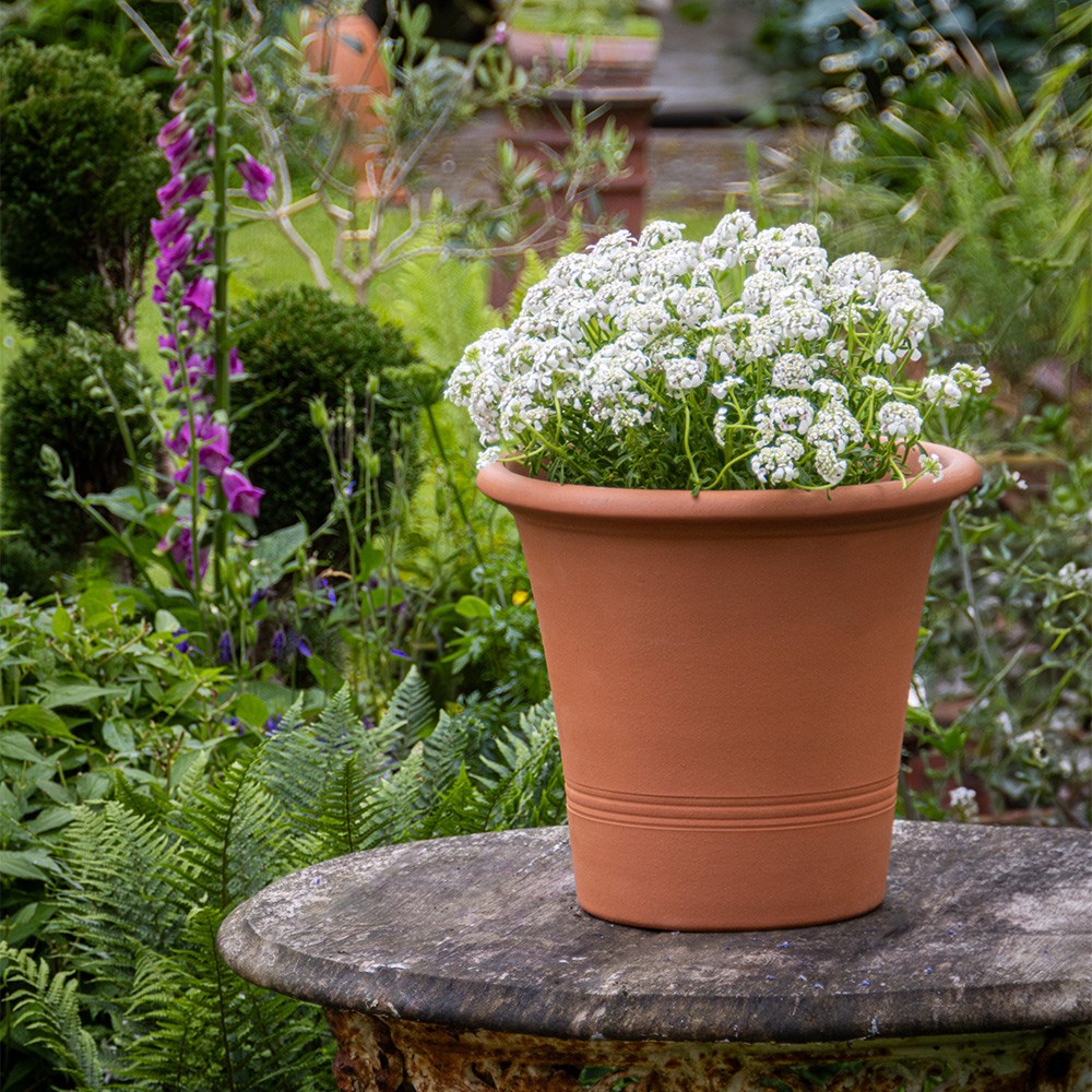 Natural Terracotta Kitchen Planter