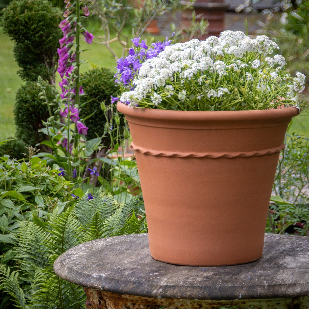 Natural Terracotta Piecrust Kitchen Planter