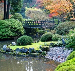 What's your style - Japanese Garden