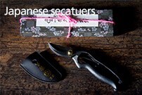 Japanese secateurs