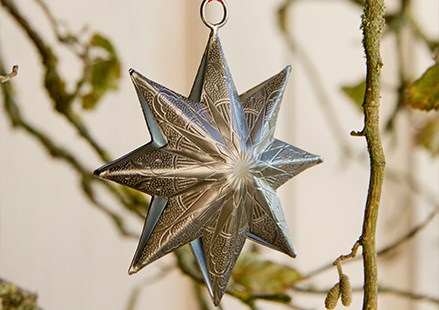 Hanging stars