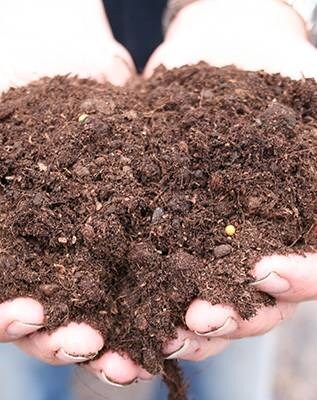 Compost