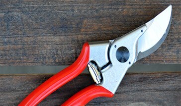 Secateurs