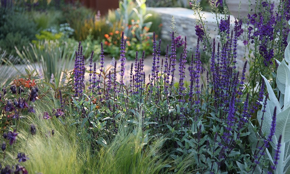 The Daily Telegraph Garden