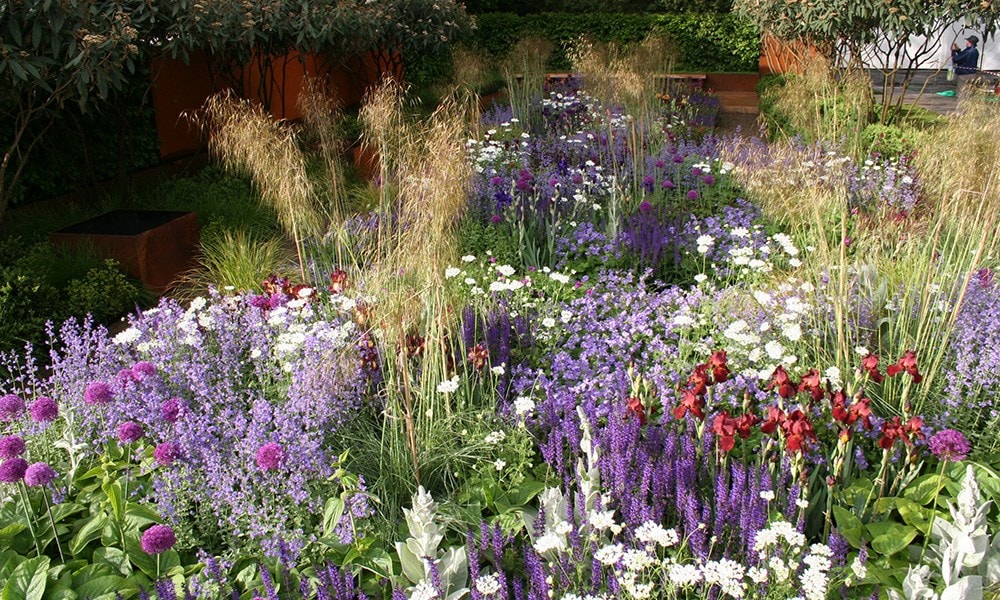 The Daily Telegraph Garden