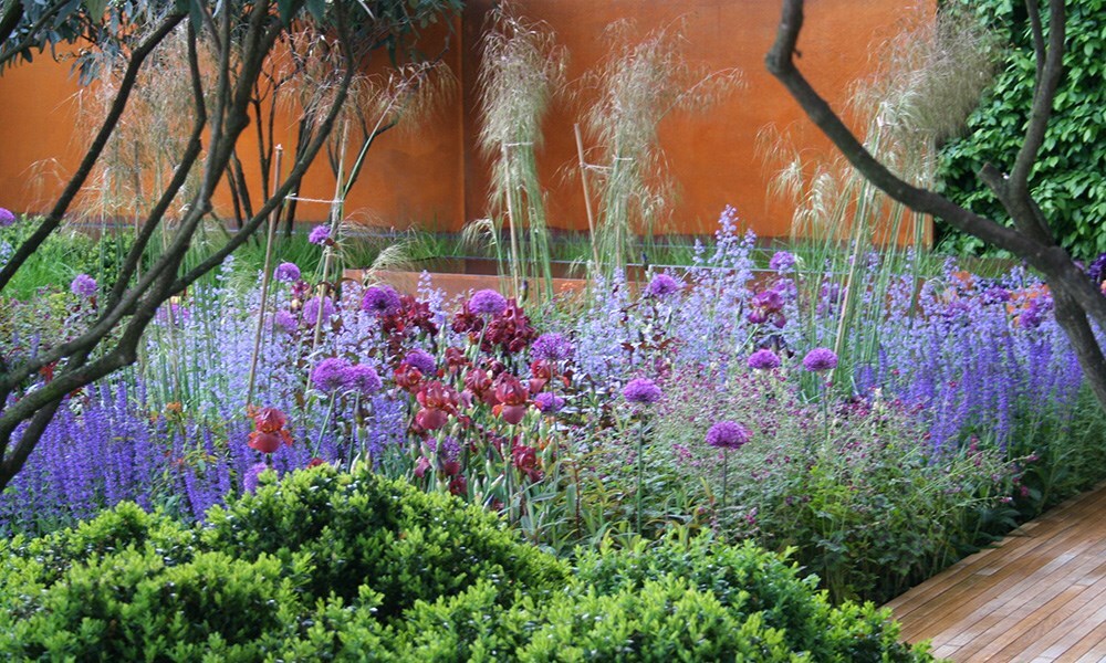 The Daily Telegraph Garden