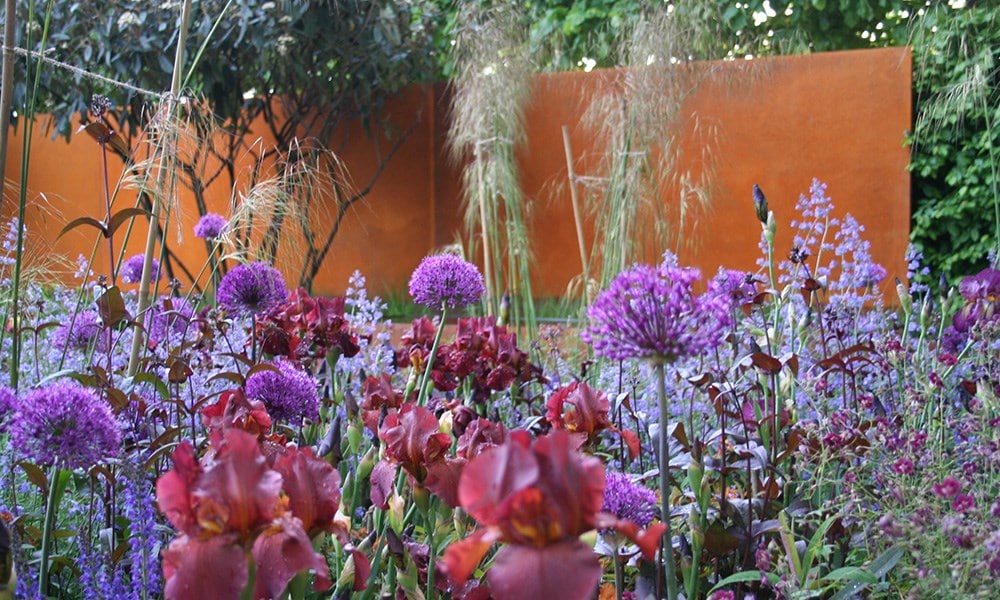 The Daily Telegraph Garden