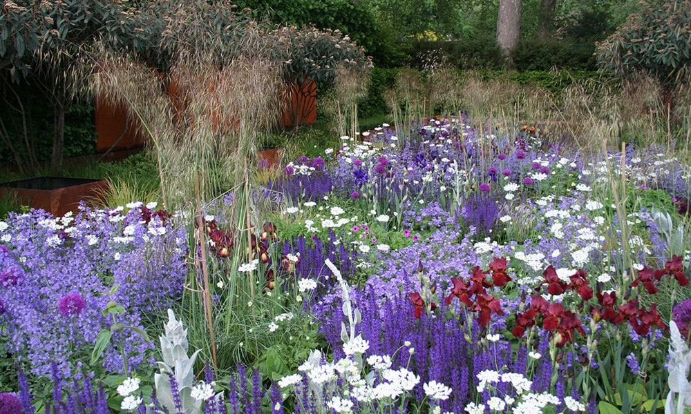 The Daily Telegraph Garden