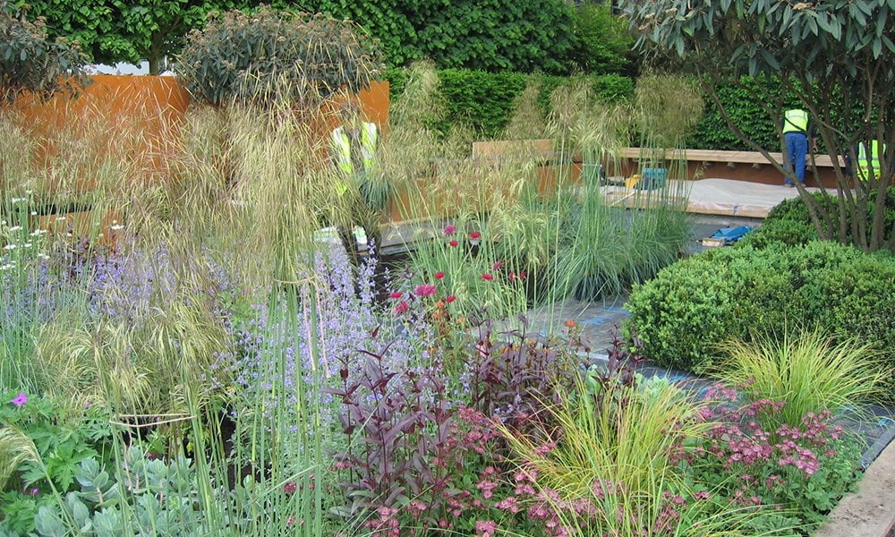 The Daily Telegraph Garden