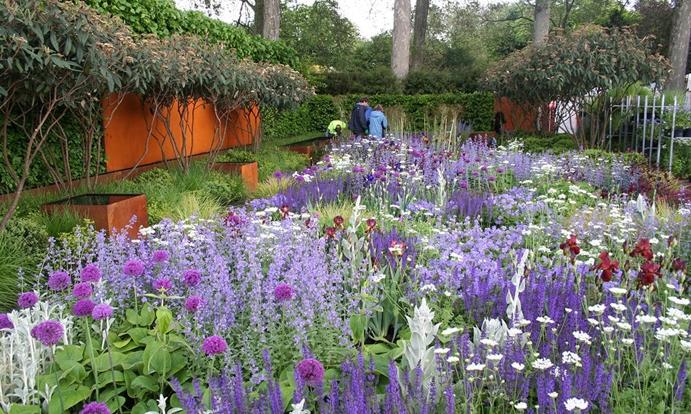 The Daily Telegraph Garden