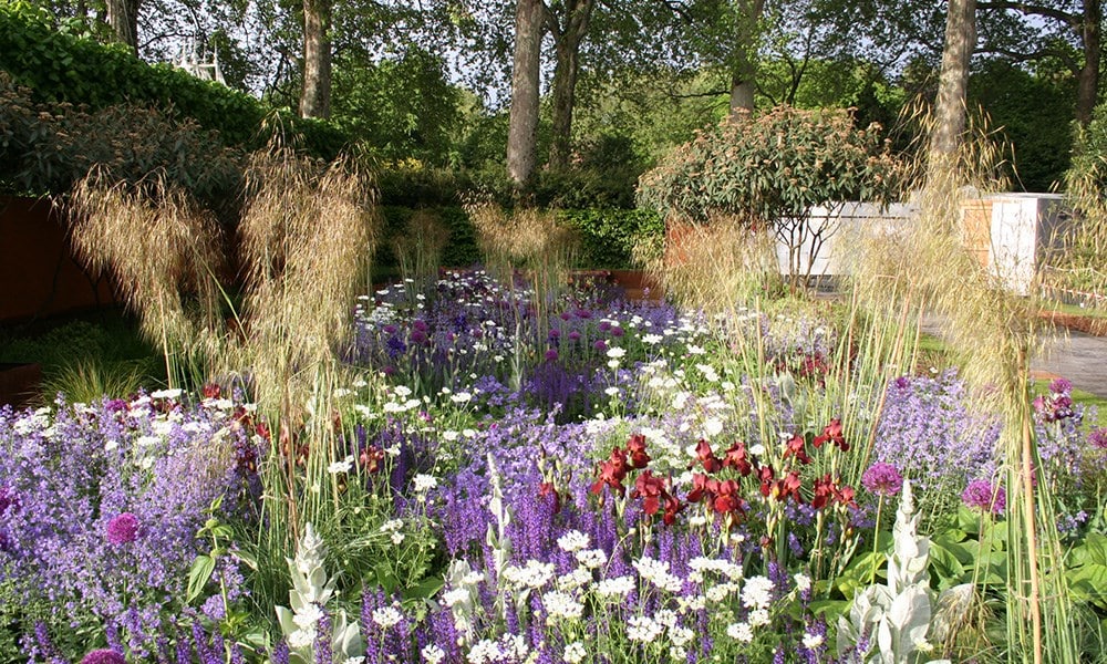 The Daily Telegraph Garden