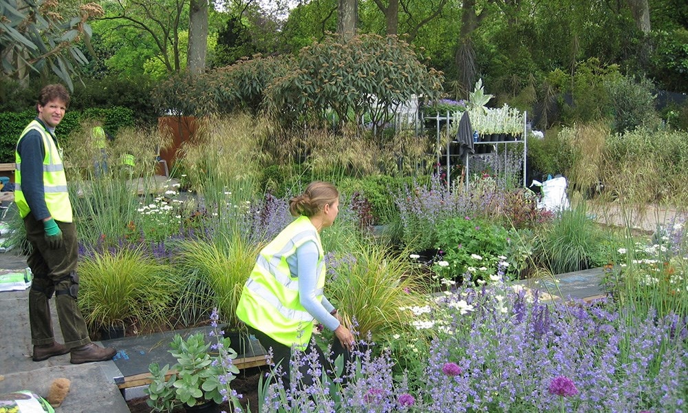 The Daily Telegraph Garden
