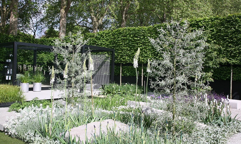 The Daily Telegraph Garden