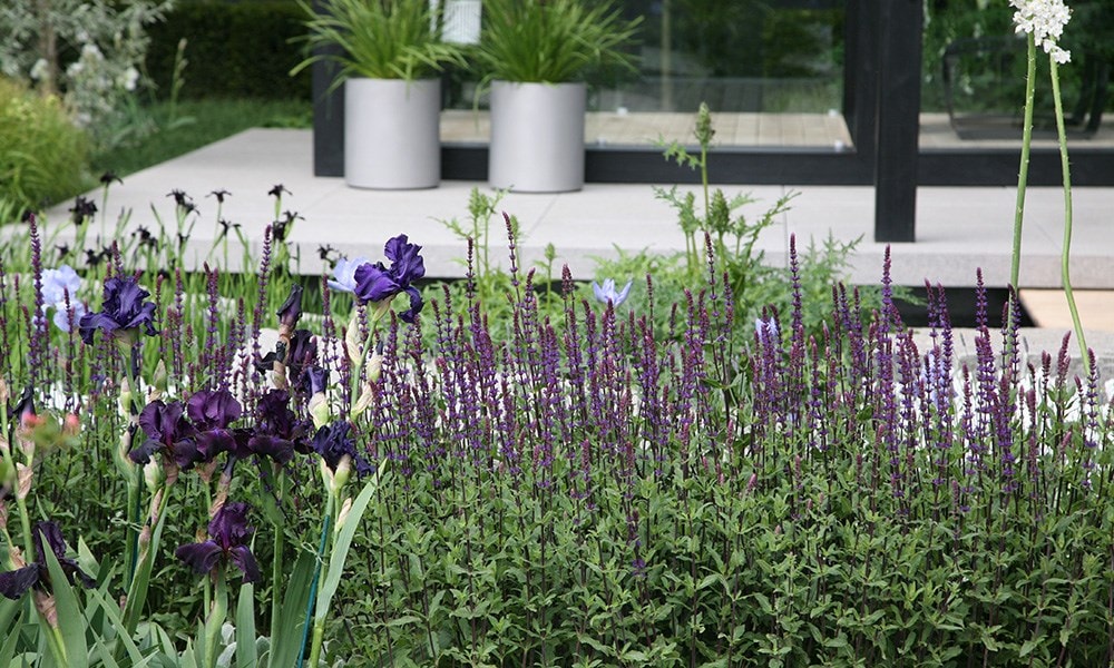 The Daily Telegraph Garden