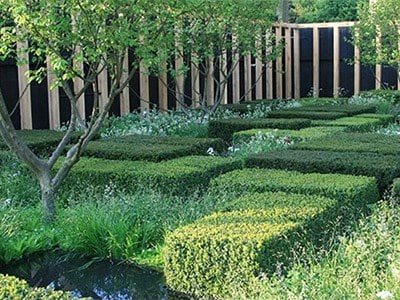 The Daily Telegraph Garden by Christopher Bradley Hole