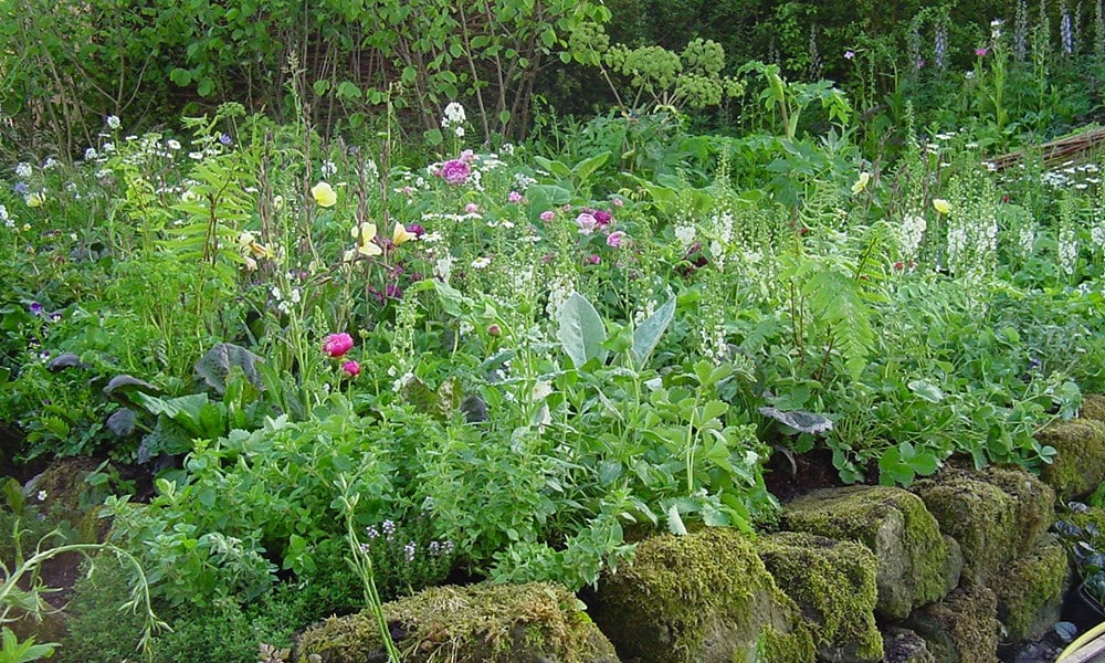 The Healing Garden