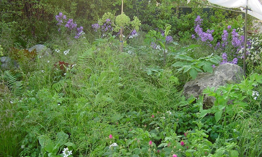 The Healing Garden