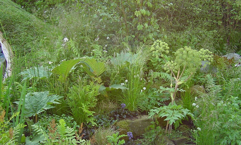 The Healing Garden