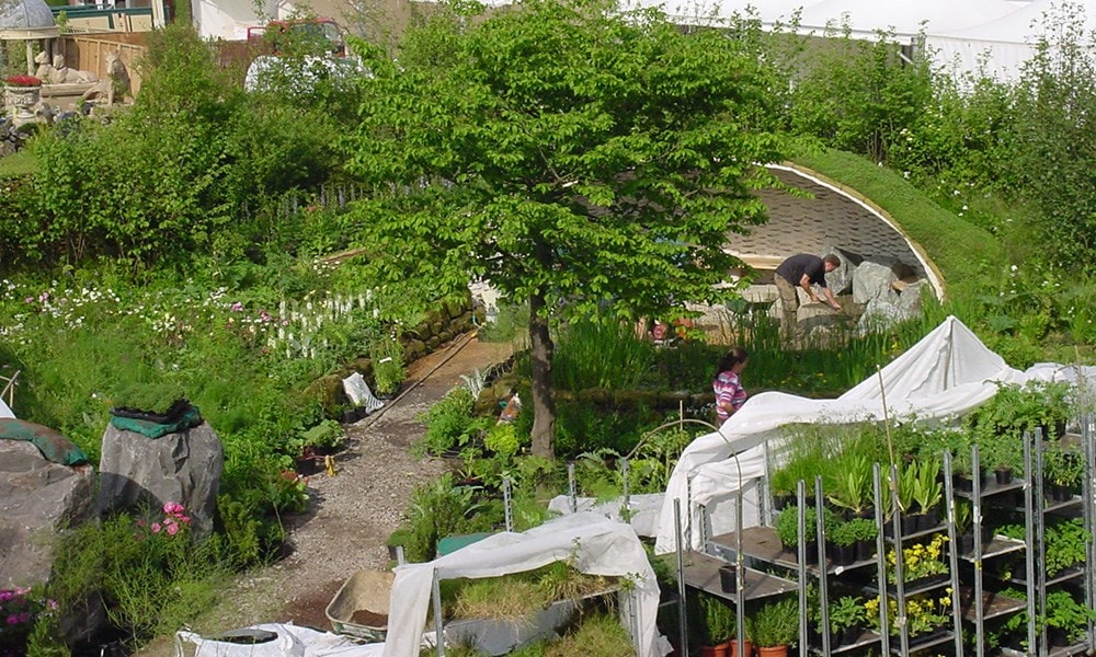 The Healing Garden