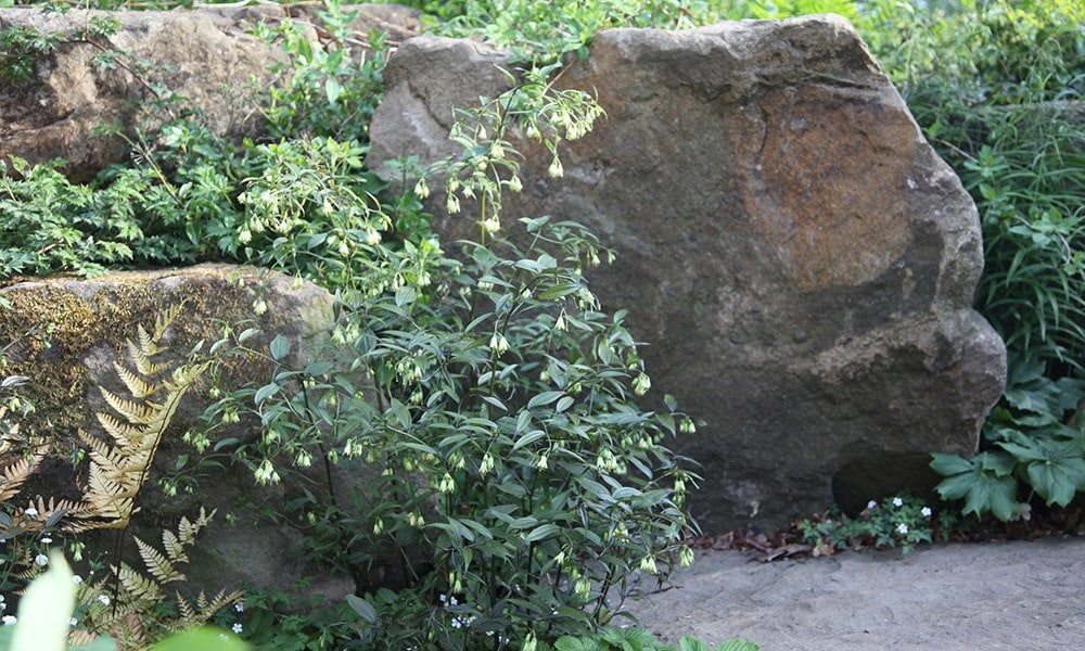 The Laurent-Perrier Garden