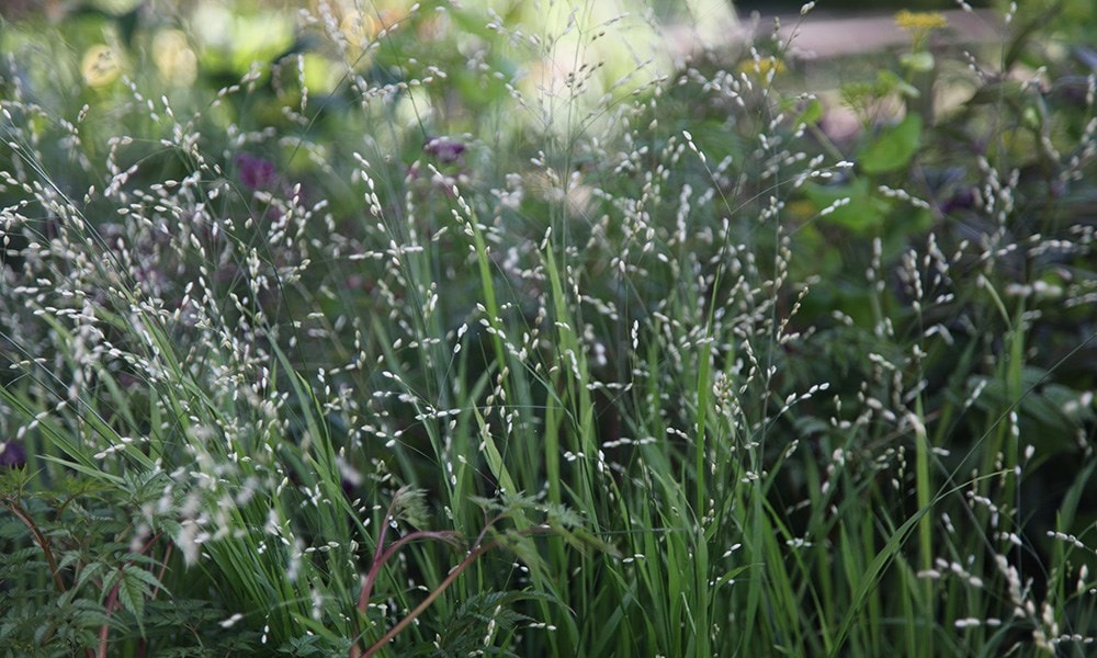 The Laurent-Perrier Garden