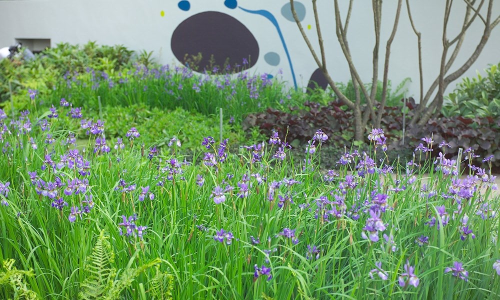 The Laurent-Perrier Garden