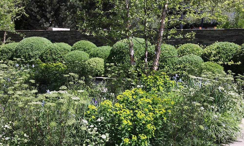 The Daily Telegraph Garden
