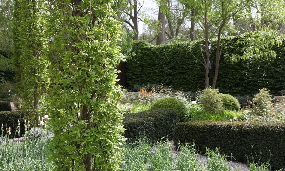 The Laurent-Perrier Garden