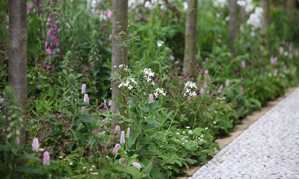 Laurent-Perrier Garden