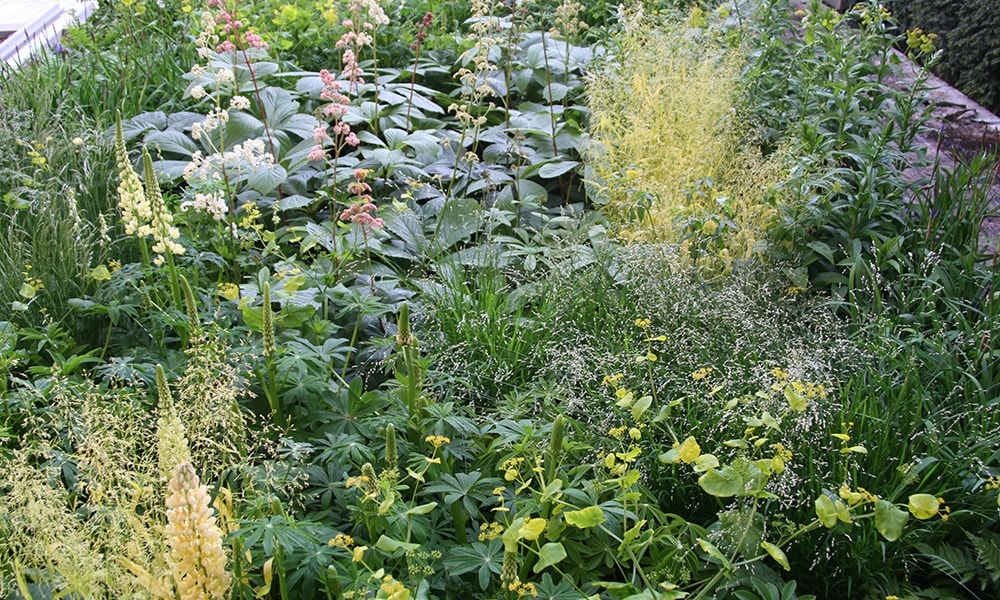 Laurent-Perrier Garden