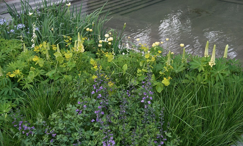 Laurent-Perrier Garden