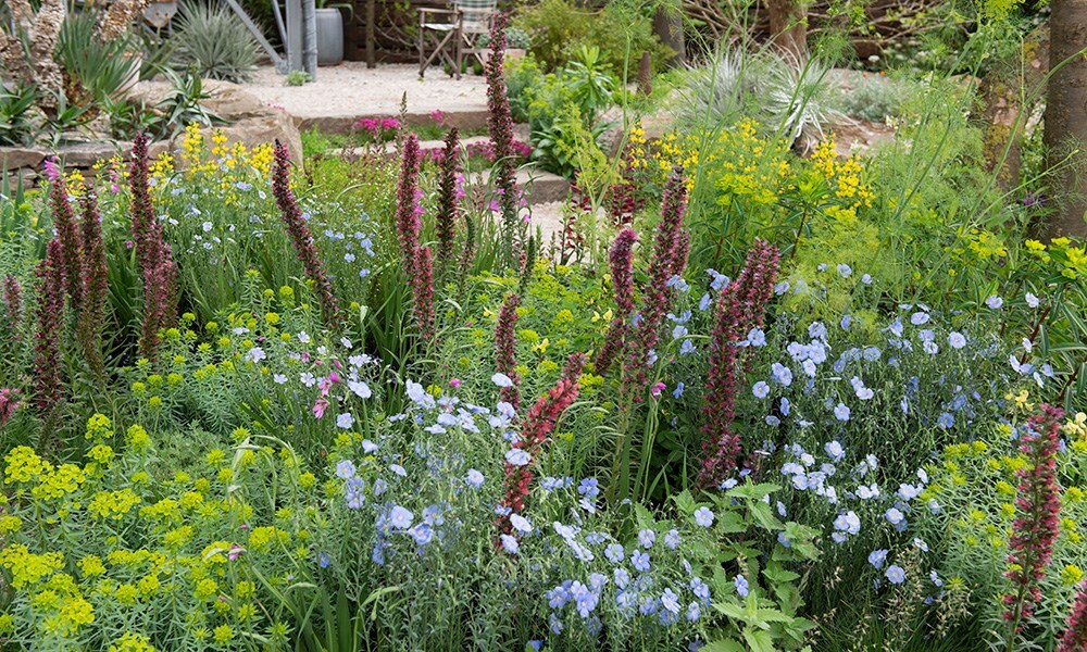 The Resilience Garden