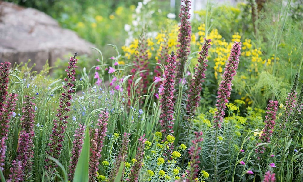 The Resilience Garden