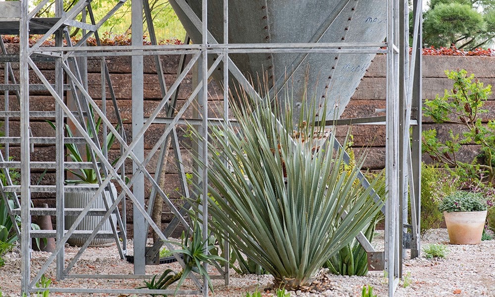 The Resilience Garden