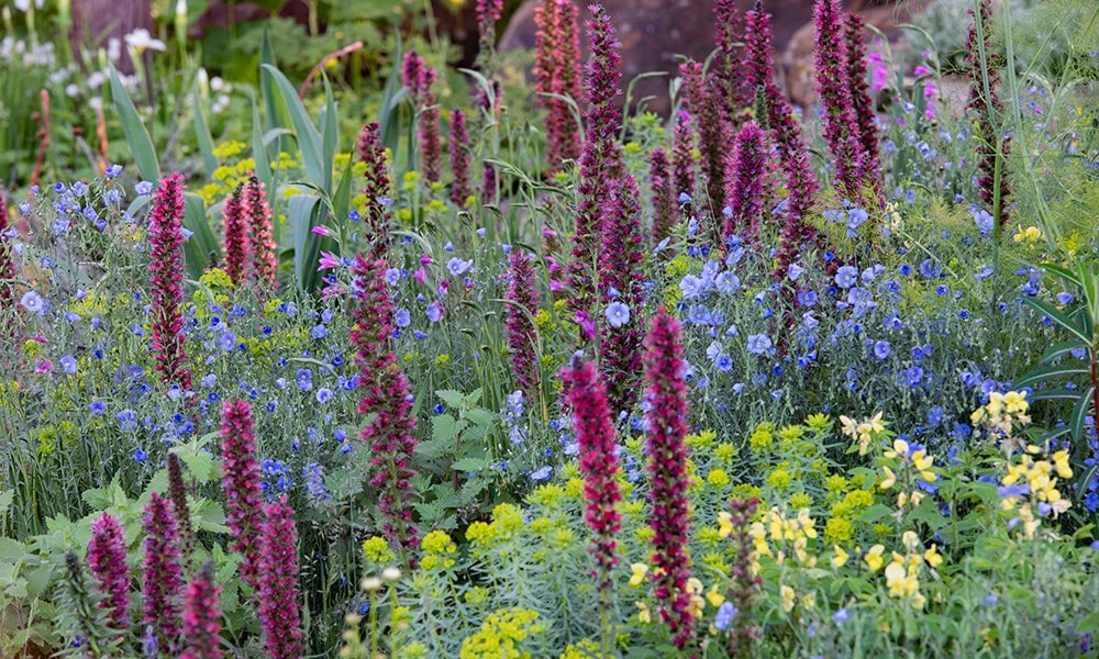 The Resilience Garden