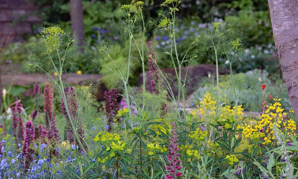 The Resilience Garden