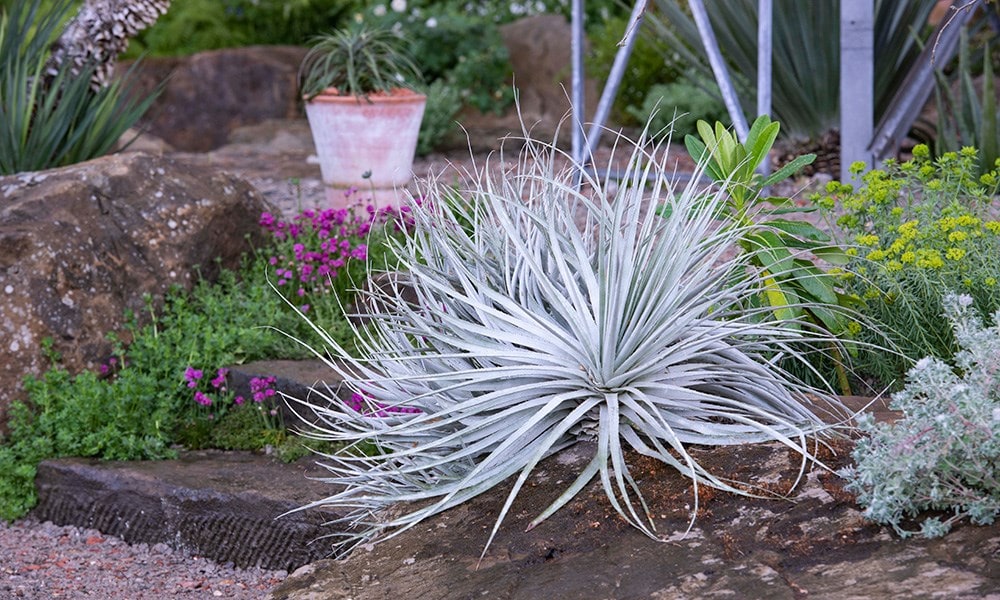 The Resilience Garden