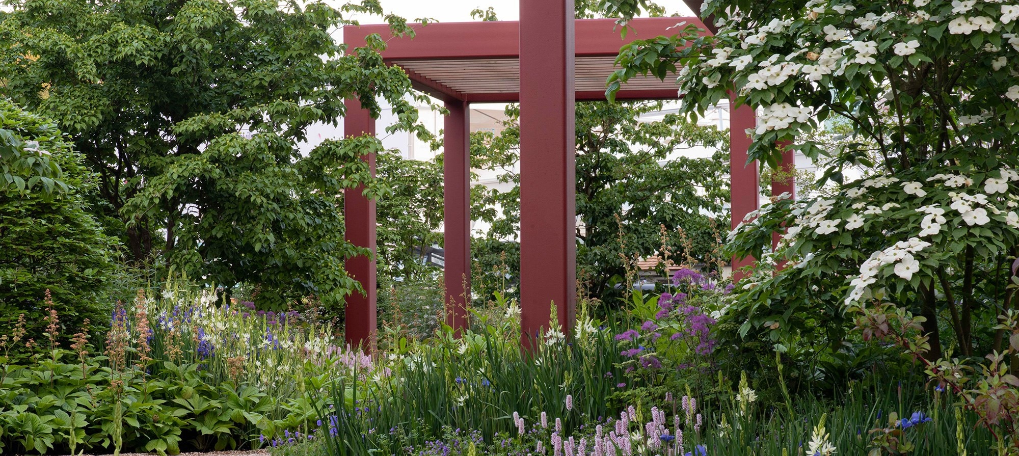 The RHS Bridgewater Garden designed by Tom Stuart-Smith