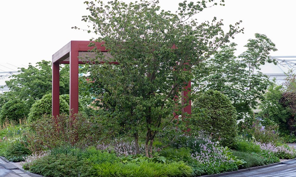 The RHS Bridgewater Garden