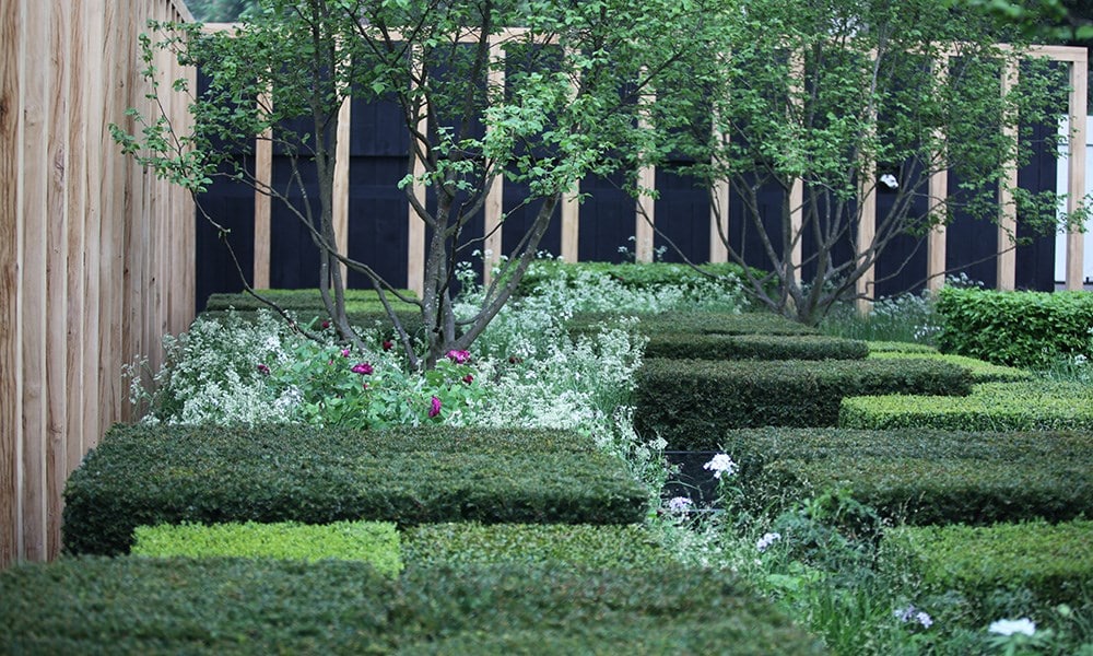 The Daily Telegraph Garden