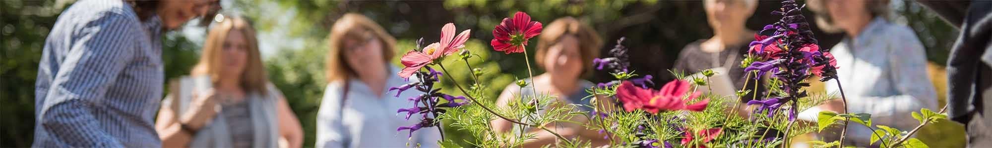 Crocus Garden School