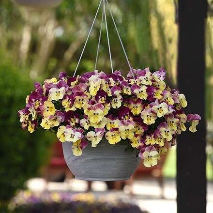 Easy planter bedding