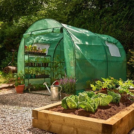 Grow your own kitchen garden