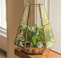 Indoor glass pots